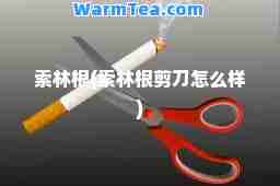 索林根(索林根剪刀怎么样)