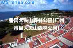 番禺大夫山森林公园(广州番禺大夫山森林公园)