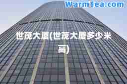 世茂大厦(世茂大厦多少米高)