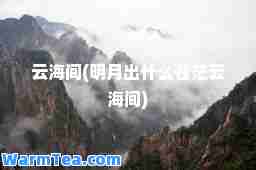 云海间(明月出什么苍茫云海间)
