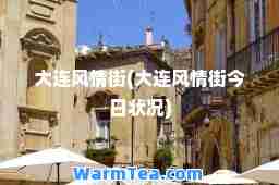 大连风情街(大连风情街今日状况)