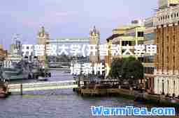 开普敦大学(开普敦大学申请条件)