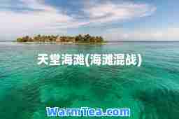 天堂海滩(海滩混战)