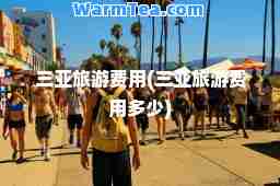 三亚旅游费用(三亚旅游费用多少)