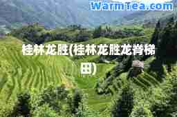 桂林龙胜(桂林龙胜龙脊梯田)