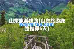 山东旅游线路(山东旅游线路5天)
