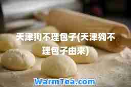 天津狗不理包子(天津狗不理包子由来)
