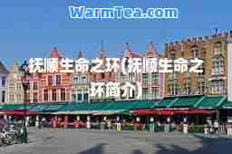 抚顺生之环(抚顺生之环简介)