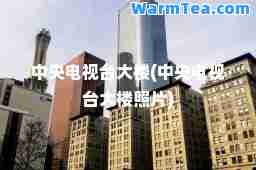 中央电视台大楼(中央电视台大楼照片)