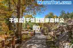 干饭盆(干饭盆国家森林公园)