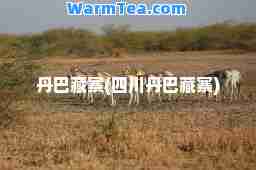 丹巴藏寨(四川丹巴藏寨)