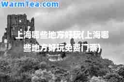 上海哪些地方好玩(上海哪些地方好玩免费门票)