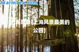 上海风景(上海风景最美的公园)