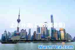 上海 外滩(上海外滩夜景)