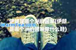 伊朗是哪个洲的国家(伊朗是哪个洲的国家穿什么鞋)