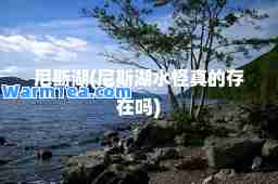 尼斯湖(尼斯湖水怪真的存在吗)
