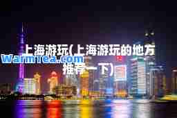 上海游玩(上海游玩的地方一下)