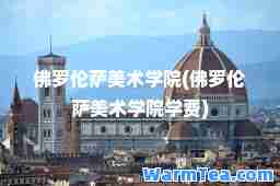 佛罗伦萨美术学院(佛罗伦萨美术学院学费)