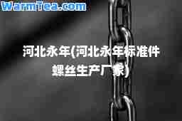 河北永年(河北永年标准件螺丝生产厂家)