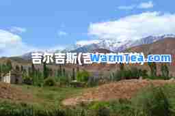 吉尔吉斯(吉尔吉斯族)