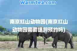 南京红山动物园(南京红山动物园需要提前预约吗)