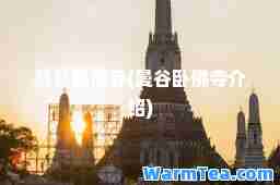 曼谷卧佛寺(曼谷卧佛寺介绍)