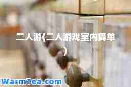 二人游(二人游戏室内简单)