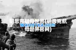 明思克航母世界(明思克航母世界官网)