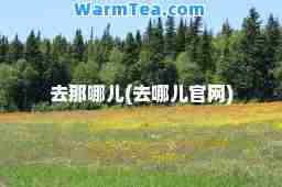 去那哪儿(去哪儿官网)