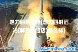 魅力四射酒吧(魅力四射酒吧(解放西路店)怎么样)