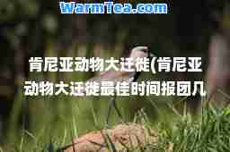 肯尼亚动物大迁徙(肯尼亚动物大迁徙时间报团几天)