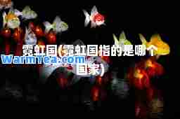 霓虹国(霓虹国指的是哪个国家)