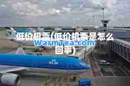 低价机票(低价机票是怎么回事)