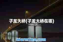 子龙大桥(子龙大桥在哪)