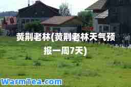 黄荆老林(黄荆老林天气预报一周7天)