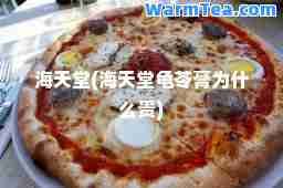 海天堂(海天堂龟苓膏为什么贵)