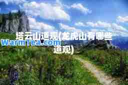 塔云山道观(龙虎山有哪些道观)