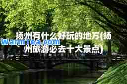 扬州有什么好玩的地方(扬州旅游必去十大景点)