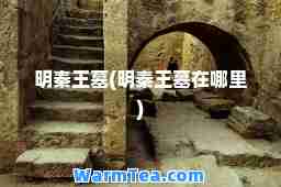 明秦王墓(明秦王墓在哪里)