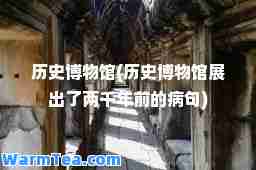 历史博物馆(历史博物馆展出了两千年前的病句)