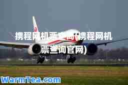 携程网机票查询(携程网机票查询官网)