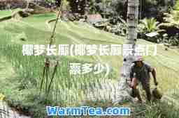 椰梦长廊(椰梦长廊景点门票多少)