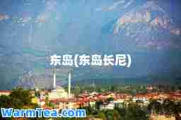 东岛(东岛长尼)