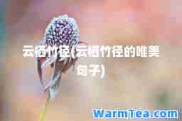 云栖竹径(云栖竹径的唯美句子)