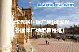 武汉光谷广场(武汉光谷广场老板是谁)