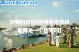 沙特(沙特和迪拜是一个国家吗)