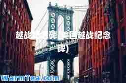 越战纪念碑(美国越战纪念碑)