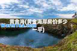 黄金海(黄金海岸房价多少一平)