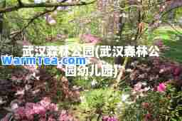 武汉森林公园(武汉森林公园幼儿园)