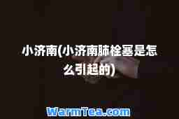 小济南(小济南肺栓塞是怎么引起的)